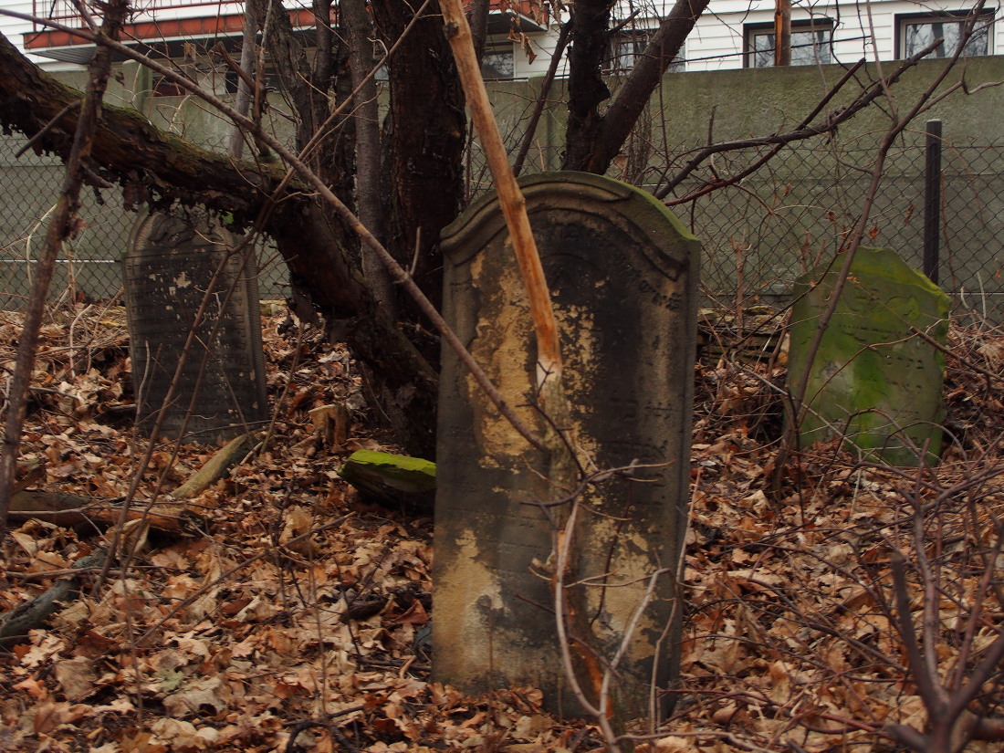 Kliknij obrazek, aby uzyskać większą wersję

Nazwa:	P2181637.jpg
Wyświetleń:	523
Rozmiar:	415,4 KB
ID:	167723