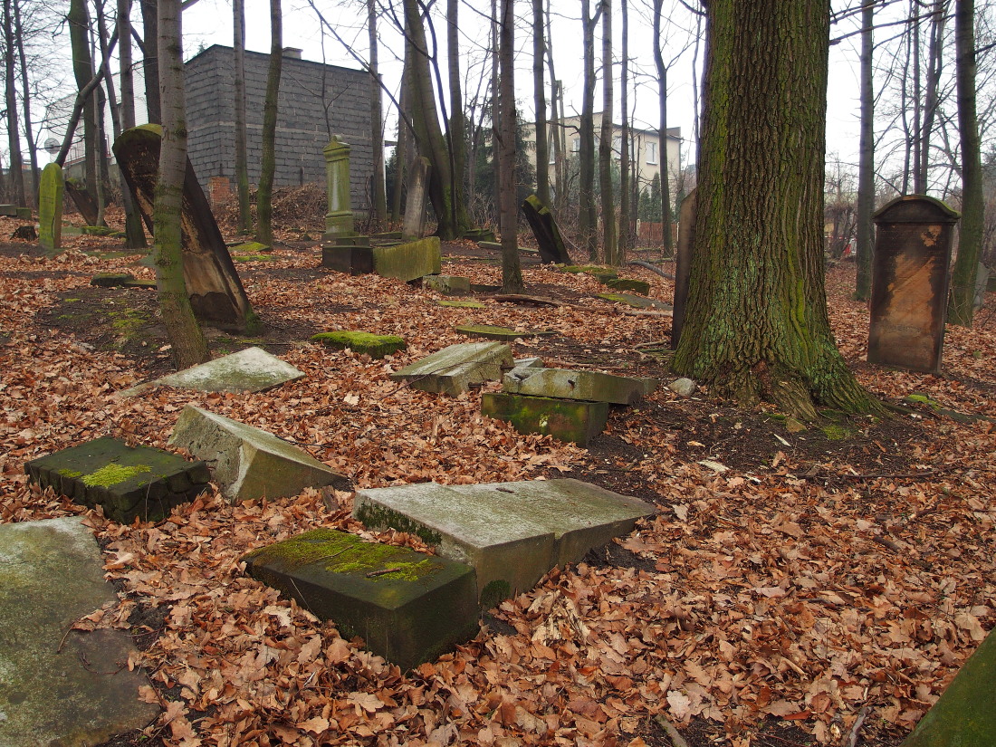 Kliknij obrazek, aby uzyskać większą wersję

Nazwa:	P2181643.jpg
Wyświetleń:	510
Rozmiar:	537,3 KB
ID:	167724