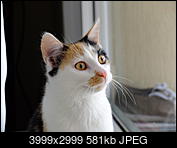 Kliknij obrazek, aby uzyskać większą wersję

Nazwa:	DSCF4464.jpg
Wyświetleń:	52
Rozmiar:	581,4 KB
ID:	168040