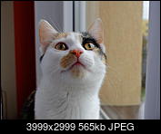 Kliknij obrazek, aby uzyskać większą wersję

Nazwa:	DSCF4518.jpg
Wyświetleń:	50
Rozmiar:	564,8 KB
ID:	168045