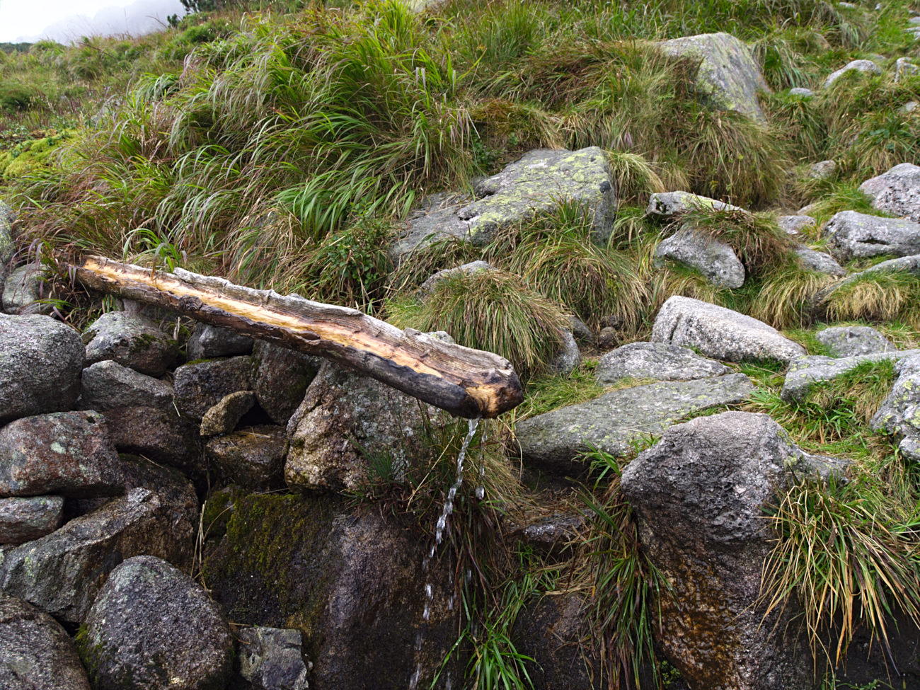 Kliknij obrazek, aby uzyskać większą wersję

Nazwa:	P8230128bp.jpg
Wyświetleń:	196
Rozmiar:	505,4 KB
ID:	168050