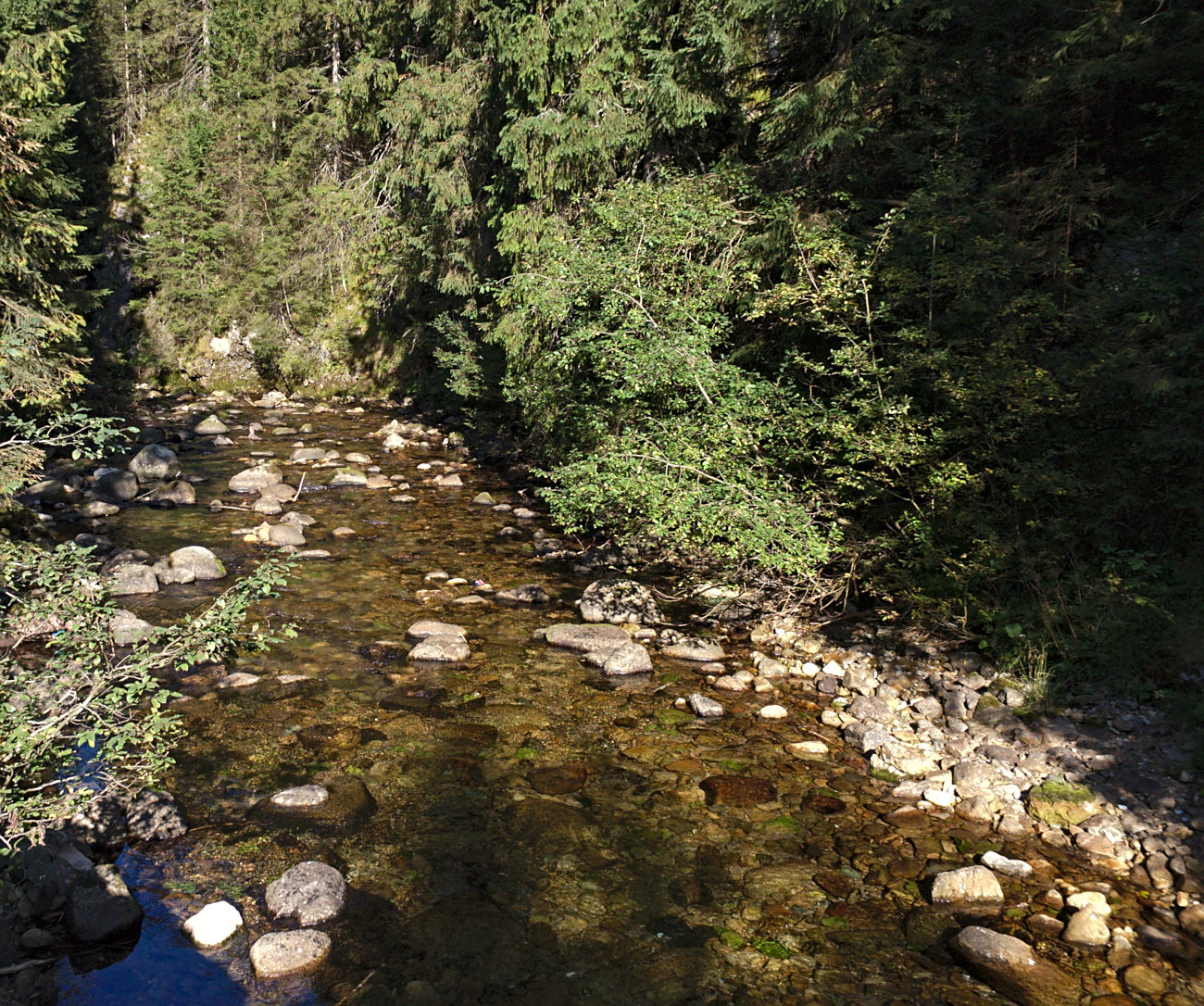 Kliknij obrazek, aby uzyskać większą wersję

Nazwa:	P9243282bp.jpg
Wyświetleń:	193
Rozmiar:	558,2 KB
ID:	168051