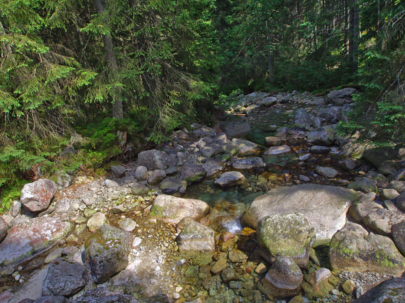 Kliknij obrazek, aby uzyskać większą wersję

Nazwa:	P8170149bp.jpg
Wyświetleń:	192
Rozmiar:	482,2 KB
ID:	168052