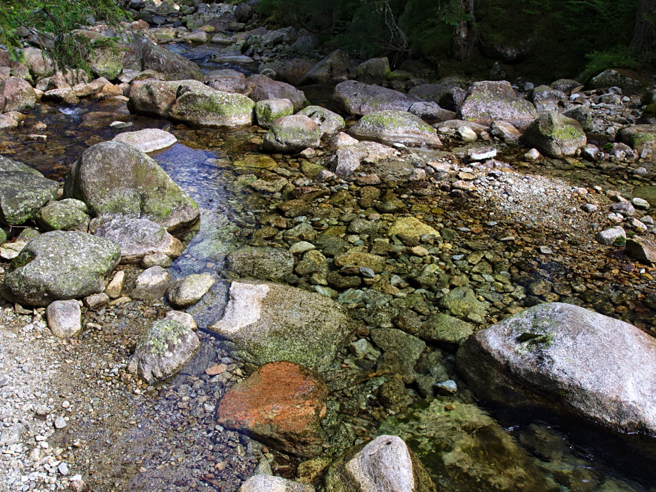 Kliknij obrazek, aby uzyskać większą wersję

Nazwa:	P8170111bp.jpg
Wyświetleń:	188
Rozmiar:	496,9 KB
ID:	168053