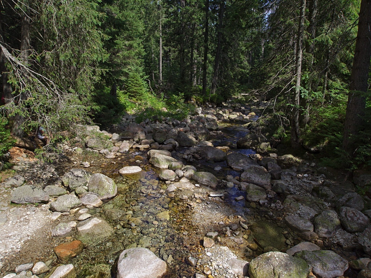 Kliknij obrazek, aby uzyskać większą wersję

Nazwa:	P8170105bp.jpg
Wyświetleń:	194
Rozmiar:	493,4 KB
ID:	168054