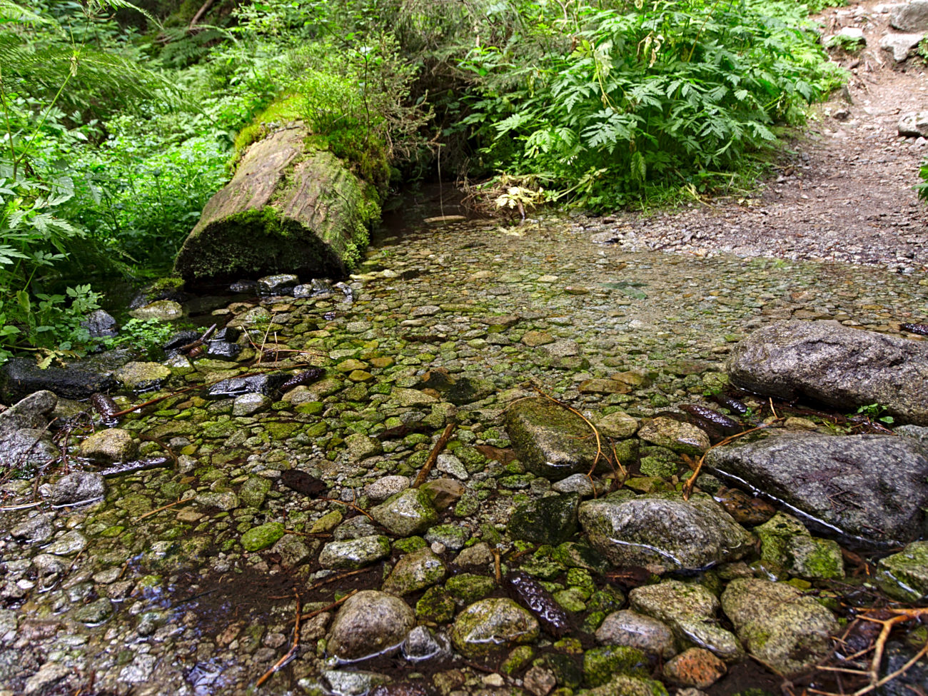 Kliknij obrazek, aby uzyskać większą wersję

Nazwa:	P8170102bp.jpg
Wyświetleń:	184
Rozmiar:	537,9 KB
ID:	168055