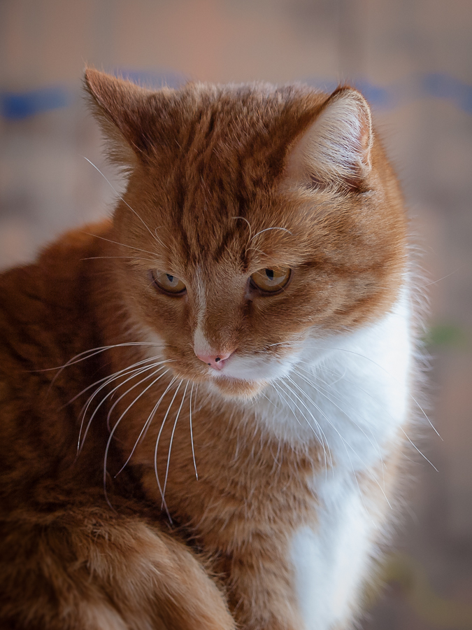 Kliknij obrazek, aby uzyskać większą wersję

Nazwa:	P2259061-2.JPG
Wyświetleń:	154
Rozmiar:	461,0 KB
ID:	168166