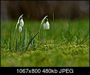 Kliknij obrazek, aby uzyskać większą wersję

Nazwa:	2012.jpg
Wyświetleń:	75
Rozmiar:	480,2 KB
ID:	168191