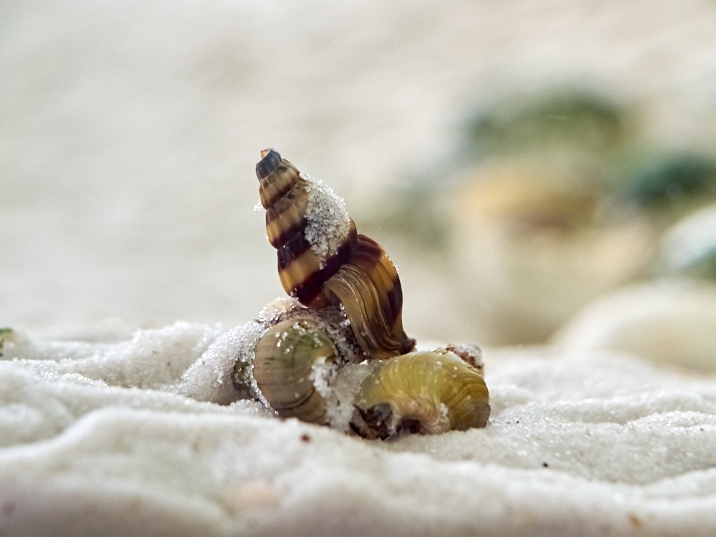 Kliknij obrazek, aby uzyskać większą wersję

Nazwa:	P2270527_2.jpg
Wyświetleń:	171
Rozmiar:	346,4 KB
ID:	168213