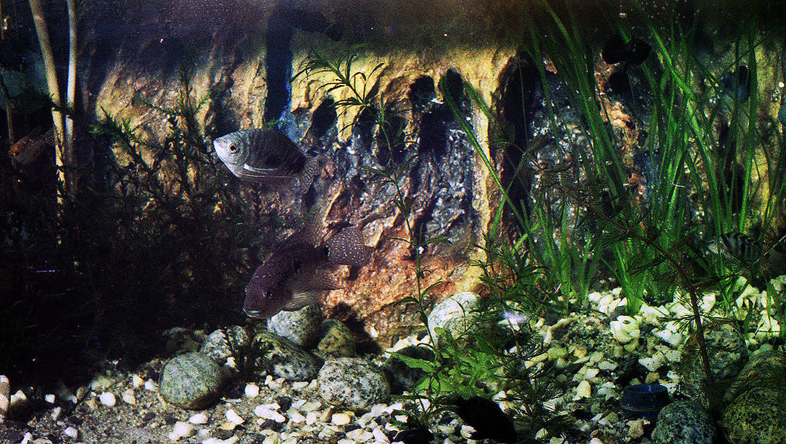 Kliknij obrazek, aby uzyskać większą wersję

Nazwa:	ap101.jpg
Wyświetleń:	417
Rozmiar:	375,9 KB
ID:	168247