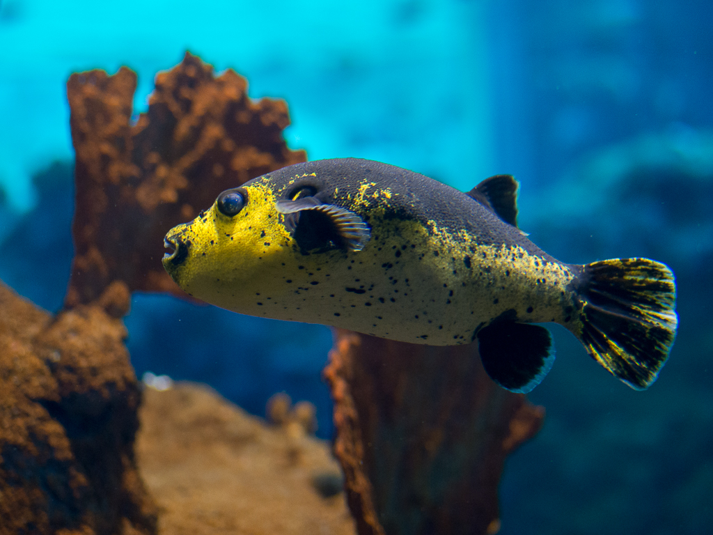 Kliknij obrazek, aby uzyskać większą wersję

Nazwa:	Cz-z I-1180437.jpg
Wyświetleń:	418
Rozmiar:	564,7 KB
ID:	168253