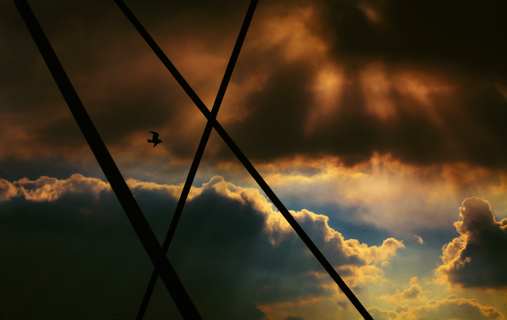 Kliknij obrazek, aby uzyskać większą wersję

Nazwa:	poslaniec.png
Wyświetleń:	143
Rozmiar:	843,3 KB
ID:	168381