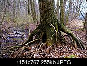 Kliknij obrazek, aby uzyskać większą wersję

Nazwa:	190.jpg
Wyświetleń:	52
Rozmiar:	254,6 KB
ID:	168589