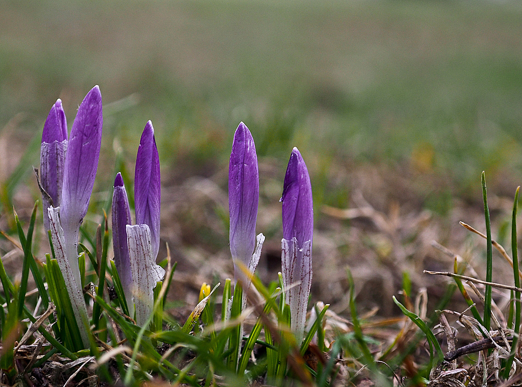 Kliknij obrazek, aby uzyskać większą wersję

Nazwa:	P3020020.JPG
Wyświetleń:	152
Rozmiar:	692,8 KB
ID:	168592