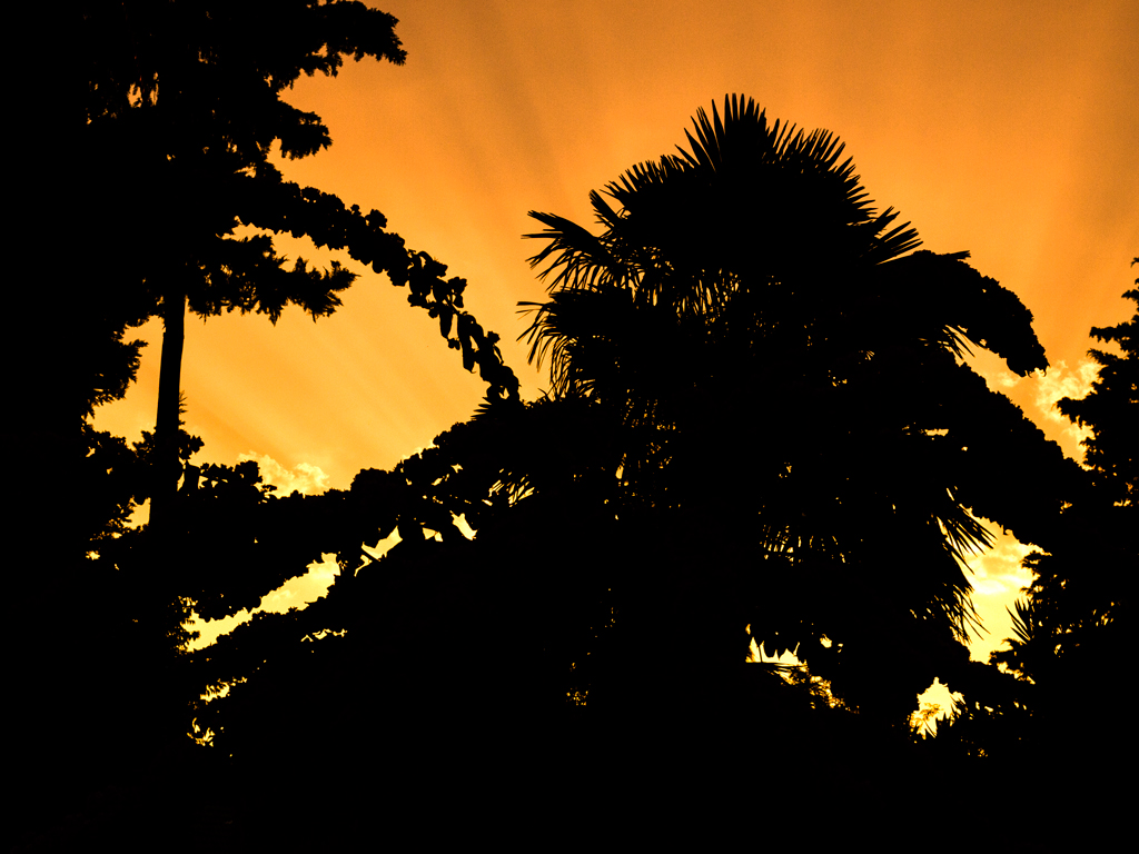 Kliknij obrazek, aby uzyskać większą wersję

Nazwa:	P7235243-kopia.jpg
Wyświetleń:	205
Rozmiar:	433,5 KB
ID:	168623