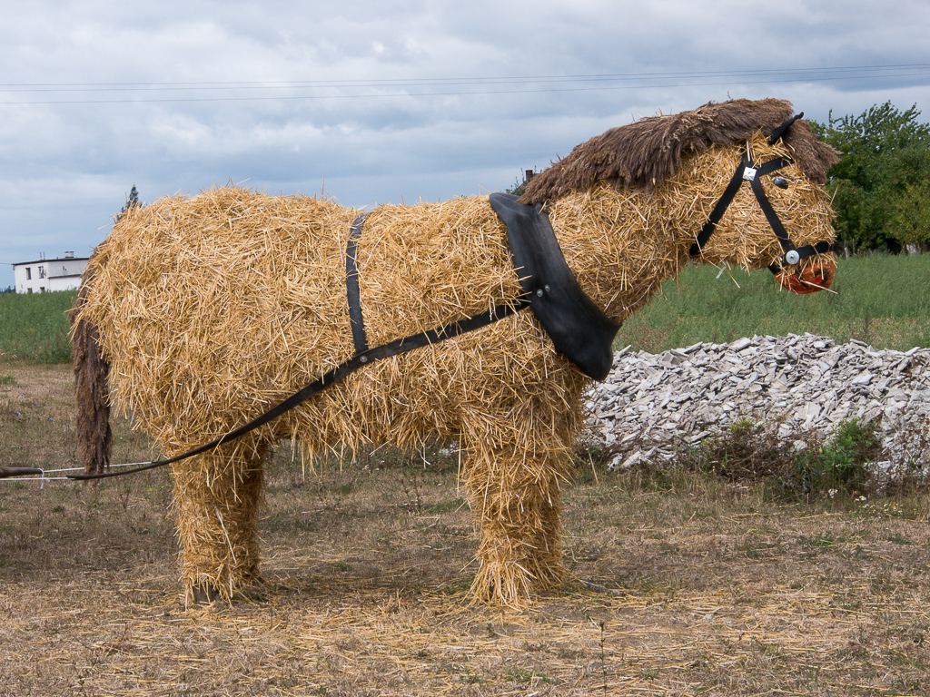 Kliknij obrazek, aby uzyskać większą wersję

Nazwa:	kon-1170553.jpg
Wyświetleń:	173
Rozmiar:	710,3 KB
ID:	168816