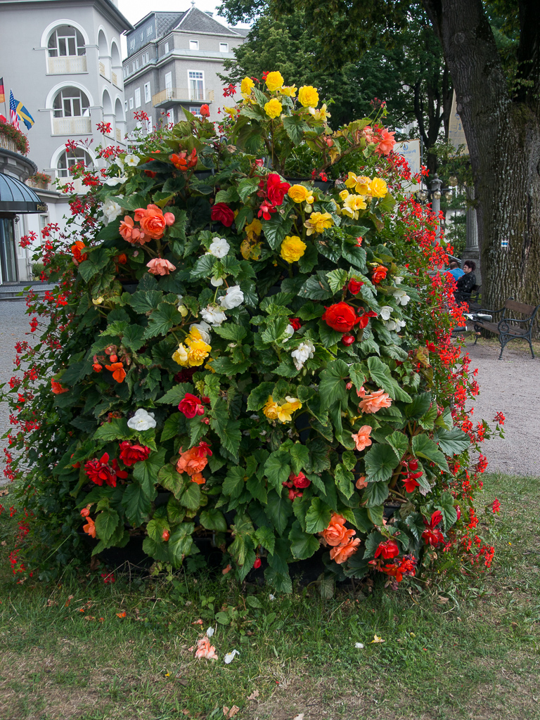 Kliknij obrazek, aby uzyskać większą wersję

Nazwa:	Begonie-1170532.jpg
Wyświetleń:	136
Rozmiar:	768,6 KB
ID:	168827