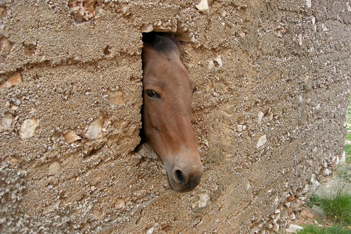 Kliknij obrazek, aby uzyskać większą wersję

Nazwa:	Obraz 129.jpg
Wyświetleń:	306
Rozmiar:	924,6 KB
ID:	169087