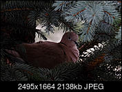 Kliknij obrazek, aby uzyskać większą wersję

Nazwa:	DSCF3433.jpg
Wyświetleń:	104
Rozmiar:	2,09 MB
ID:	169219