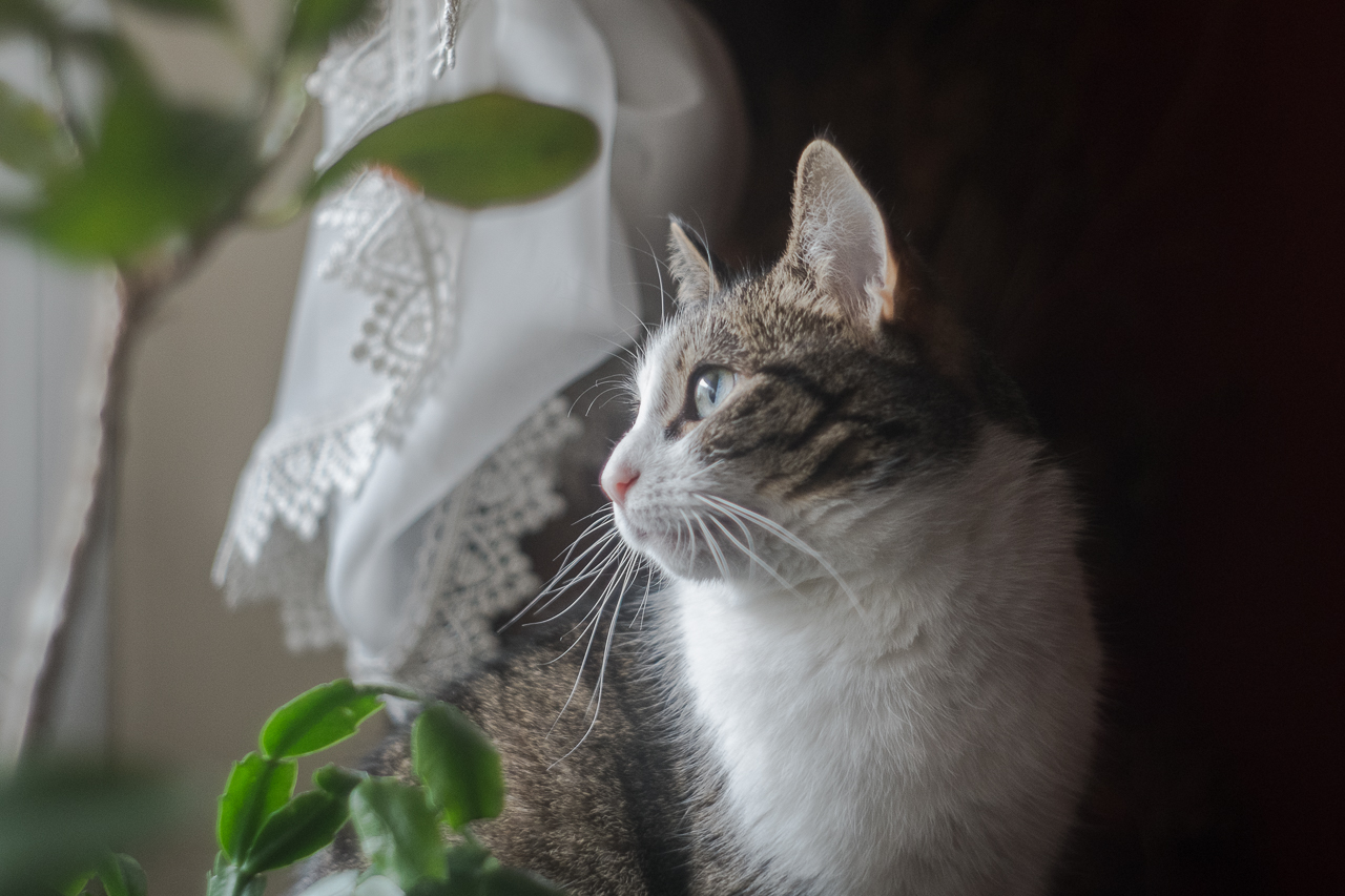 Kliknij obrazek, aby uzyskać większą wersję

Nazwa:	PBA12405_web.JPG
Wyświetleń:	243
Rozmiar:	568,5 KB
ID:	169281