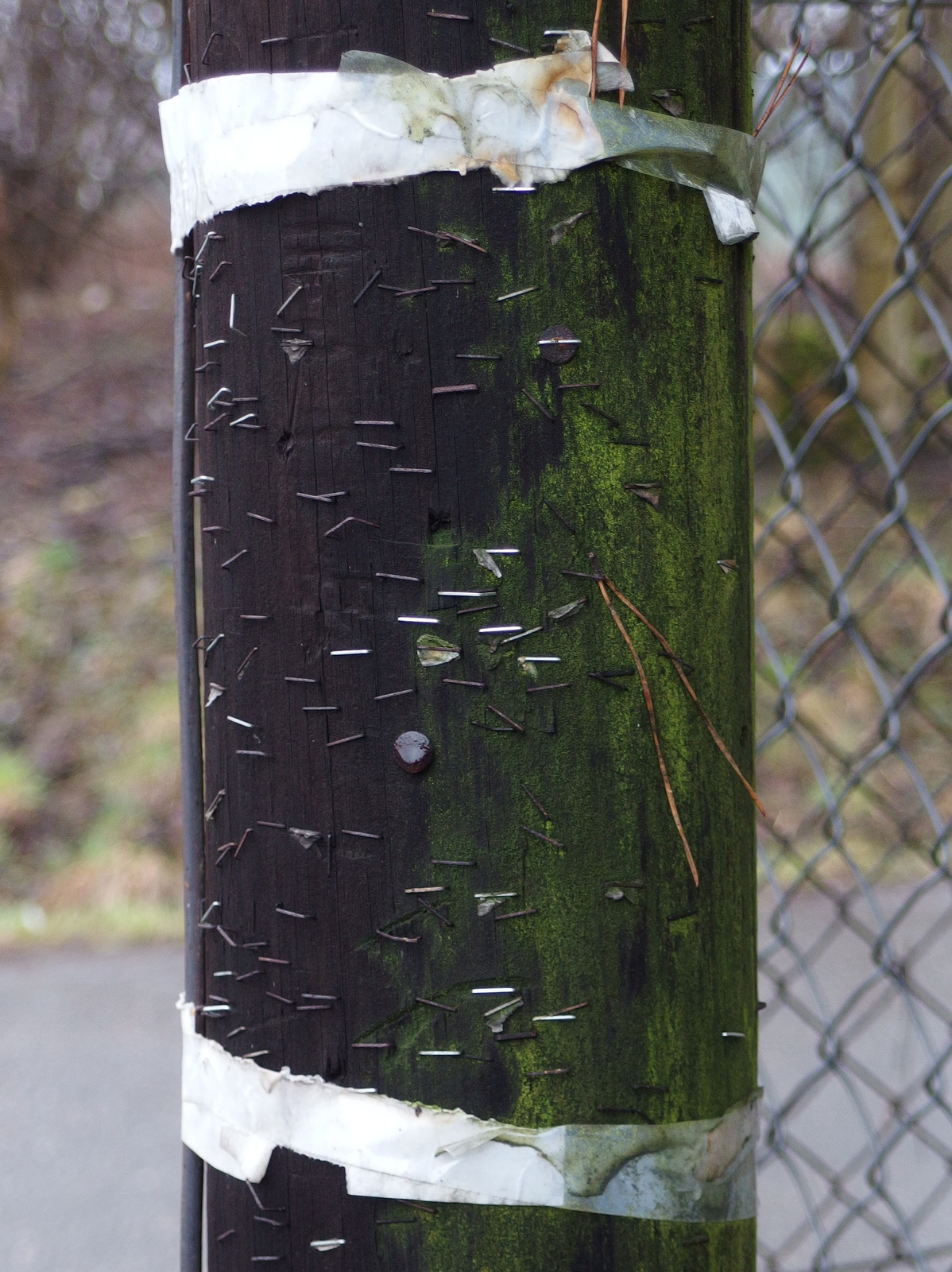 Kliknij obrazek, aby uzyskać większą wersję

Nazwa:	P3134063.JPG
Wyświetleń:	258
Rozmiar:	696,2 KB
ID:	169287