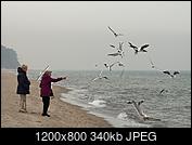 Kliknij obrazek, aby uzyskać większą wersję

Nazwa:	2029.jpg
Wyświetleń:	292
Rozmiar:	339,9 KB
ID:	169438