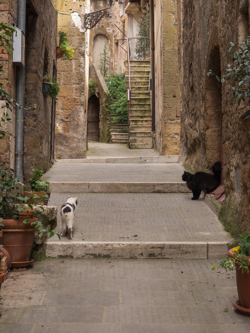 Kliknij obrazek, aby uzyskać większą wersję

Nazwa:	_JK90193.jpg
Wyświetleń:	183
Rozmiar:	626,2 KB
ID:	169549