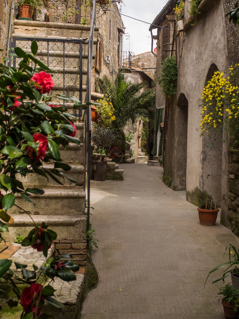 Kliknij obrazek, aby uzyskać większą wersję

Nazwa:	_JK90209.jpg
Wyświetleń:	146
Rozmiar:	680,9 KB
ID:	169614