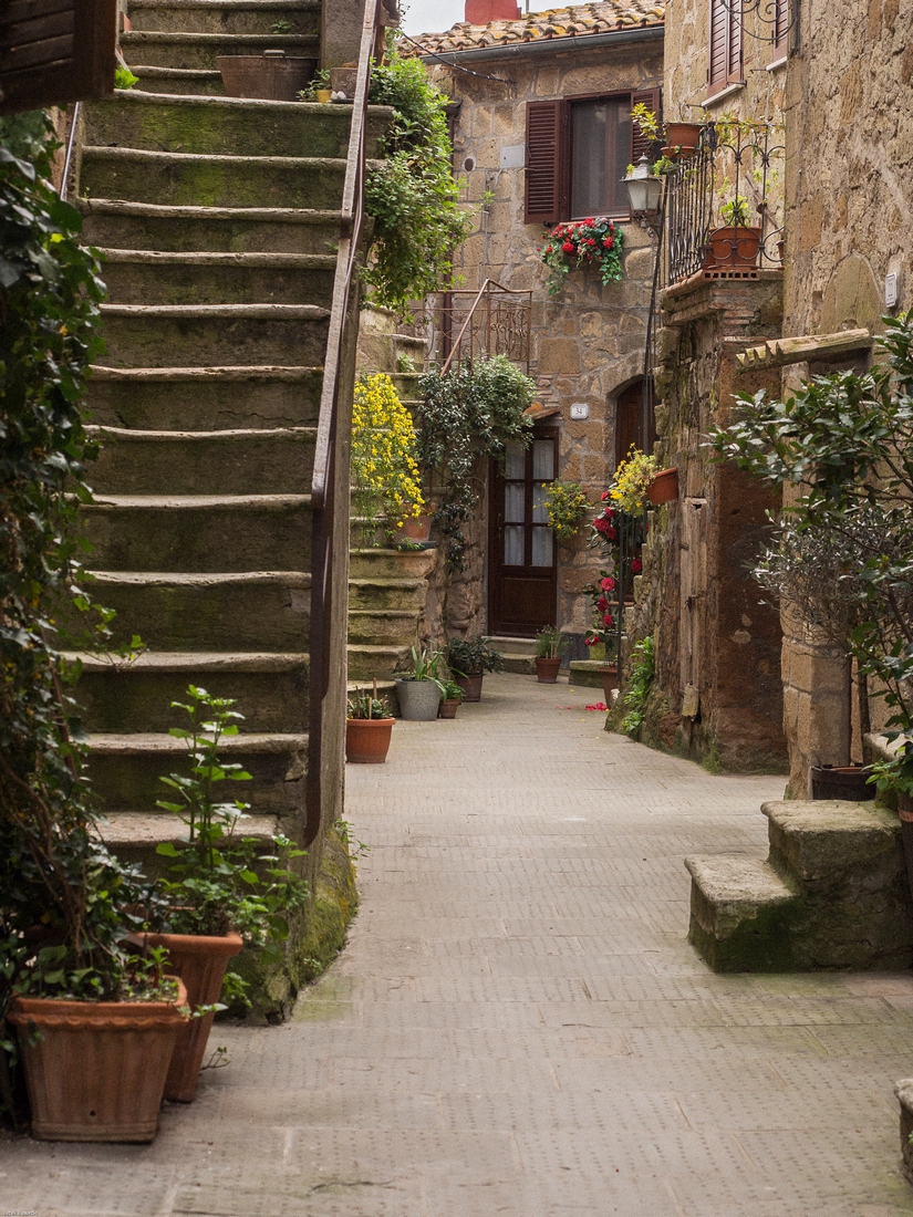 Kliknij obrazek, aby uzyskać większą wersję

Nazwa:	_JK90204.jpg
Wyświetleń:	158
Rozmiar:	675,9 KB
ID:	169617