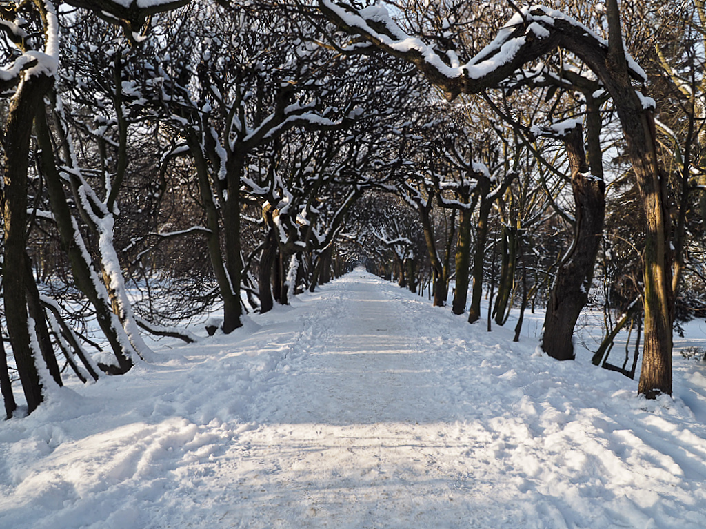 Kliknij obrazek, aby uzyskać większą wersję

Nazwa:	zima.jpg
Wyświetleń:	460
Rozmiar:	582,4 KB
ID:	169667