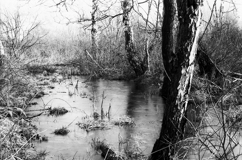 Kliknij obrazek, aby uzyskać większą wersję

Nazwa:	kana_lod.png
Wyświetleń:	158
Rozmiar:	820,0 KB
ID:	169813