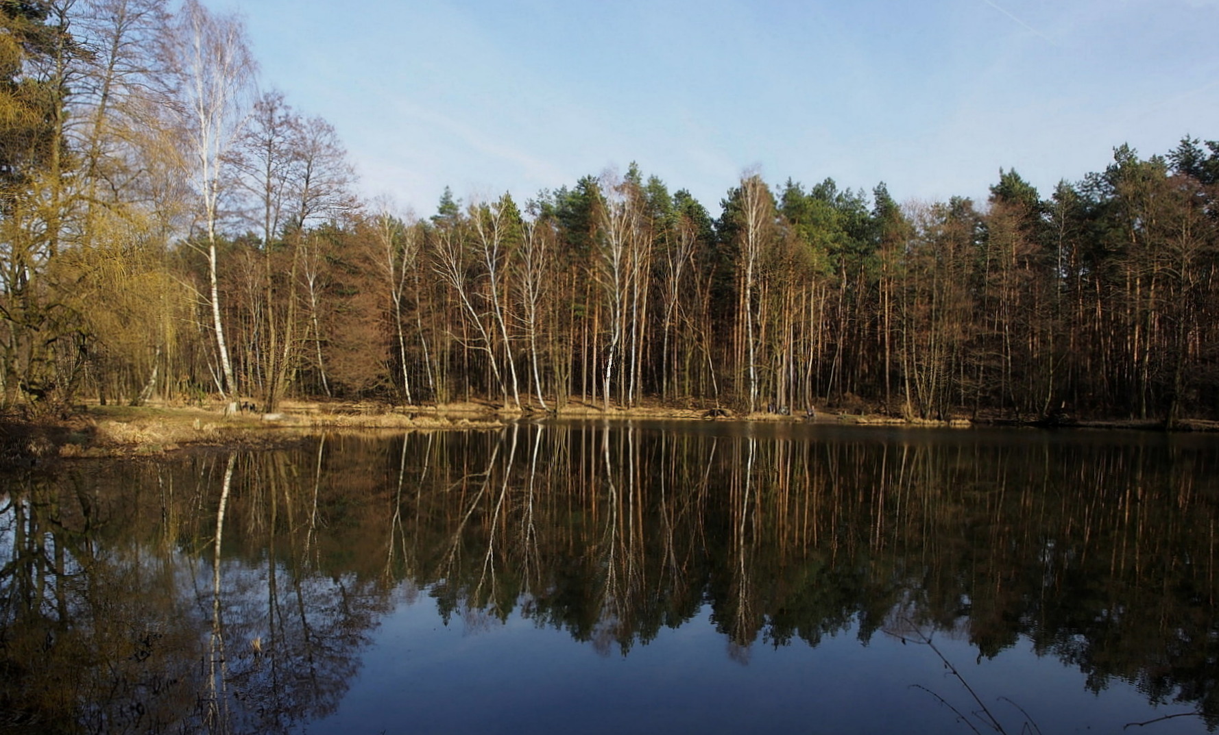 Kliknij obrazek, aby uzyskać większą wersję

Nazwa:	Spacerkiem po lesie...E.jpg
Wyświetleń:	228
Rozmiar:	489,6 KB
ID:	169885