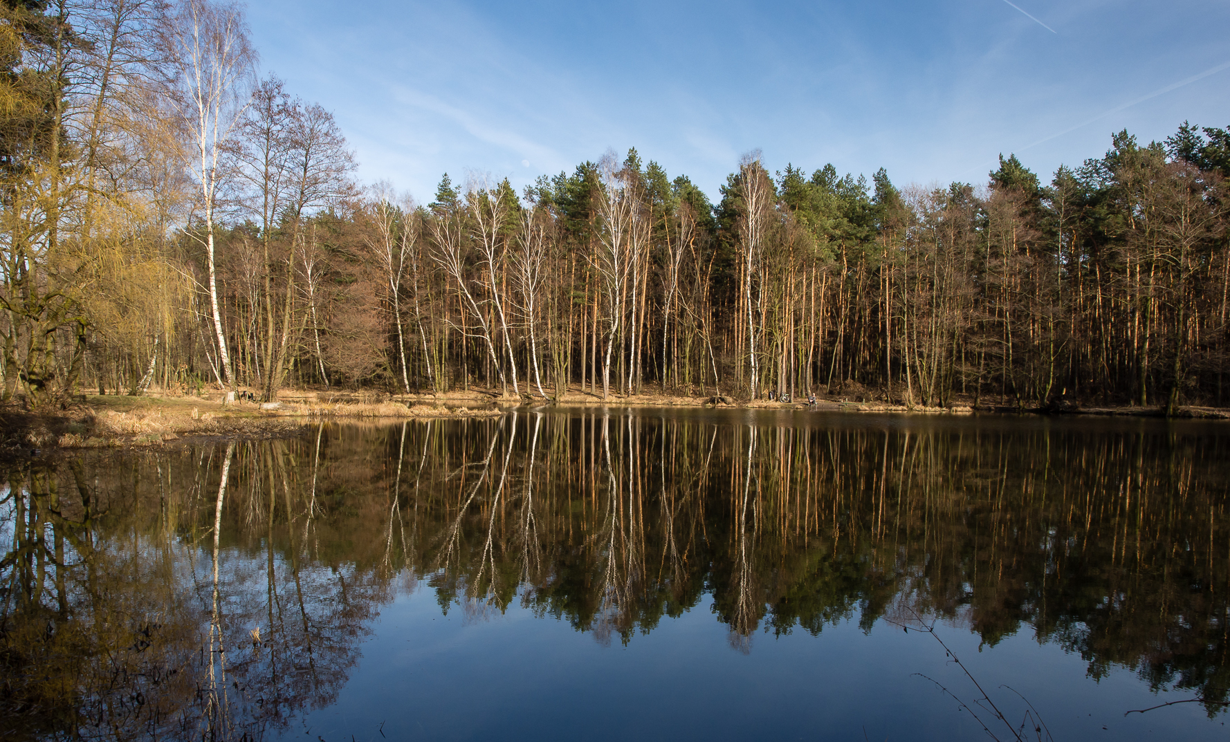 Kliknij obrazek, aby uzyskać większą wersję

Nazwa:	P3192320a.jpg
Wyświetleń:	230
Rozmiar:	2,01 MB
ID:	169886