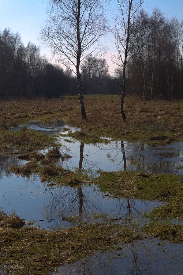 Kliknij obrazek, aby uzyskać większą wersję

Nazwa:	roztopy_1.jpg
Wyświetleń:	115
Rozmiar:	124,2 KB
ID:	169893