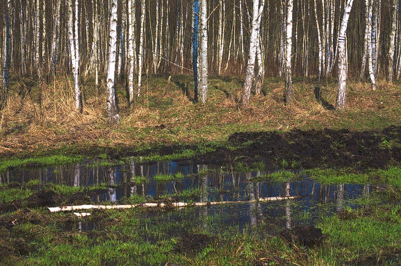 Kliknij obrazek, aby uzyskać większą wersję

Nazwa:	roztopy_2.jpg
Wyświetleń:	111
Rozmiar:	137,3 KB
ID:	169894