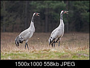 Kliknij obrazek, aby uzyskać większą wersję

Nazwa:	_3130097.jpg
Wyświetleń:	304
Rozmiar:	558,2 KB
ID:	169933