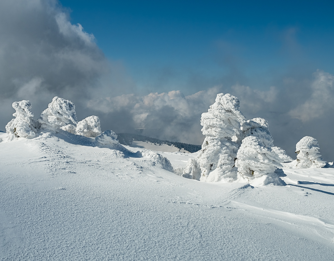 Kliknij obrazek, aby uzyskać większą wersję

Nazwa:	Pilsko7Olek-3.JPG
Wyświetleń:	715
Rozmiar:	615,7 KB
ID:	170031