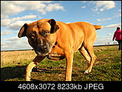 Kliknij obrazek, aby uzyskać większą wersję

Nazwa:	P3260066.JPG
Wyświetleń:	63
Rozmiar:	8,04 MB
ID:	170120