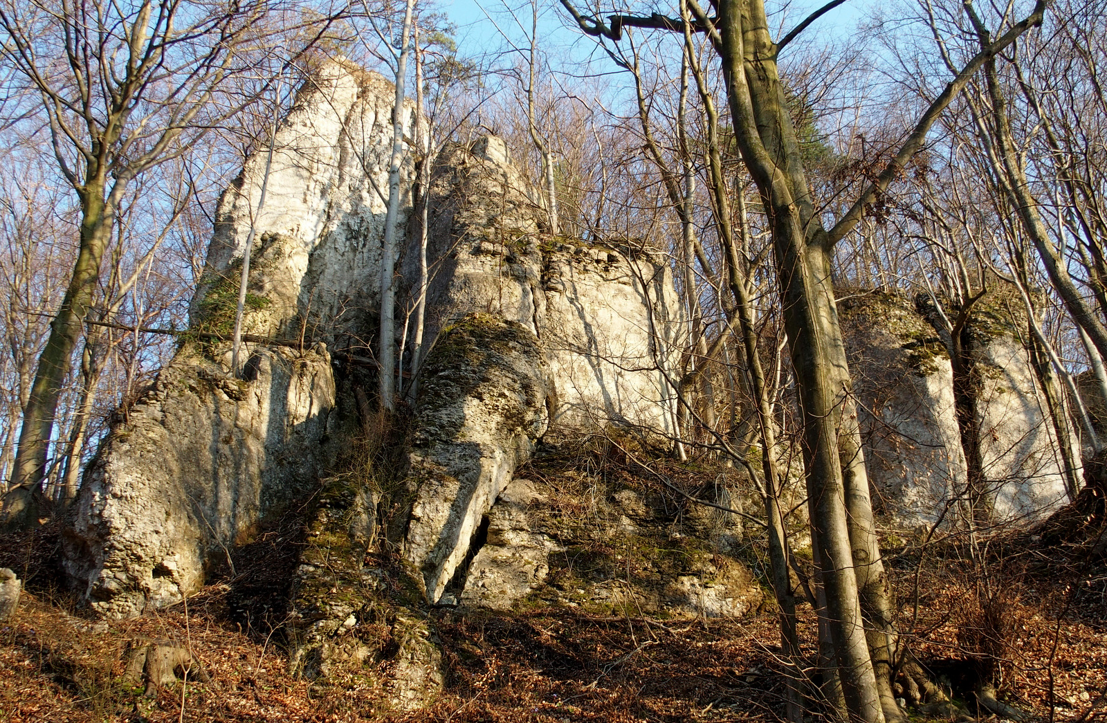 Kliknij obrazek, aby uzyskać większą wersję

Nazwa:	P3270028.JPG
Wyświetleń:	213
Rozmiar:	1,36 MB
ID:	170135