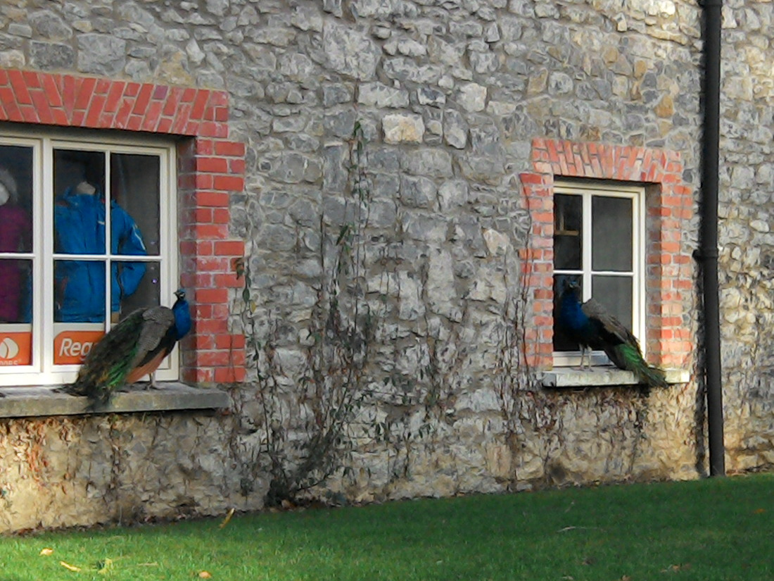 Kliknij obrazek, aby uzyskać większą wersję

Nazwa:	IMG_20140102_134539.jpg
Wyświetleń:	127
Rozmiar:	305,4 KB
ID:	170156