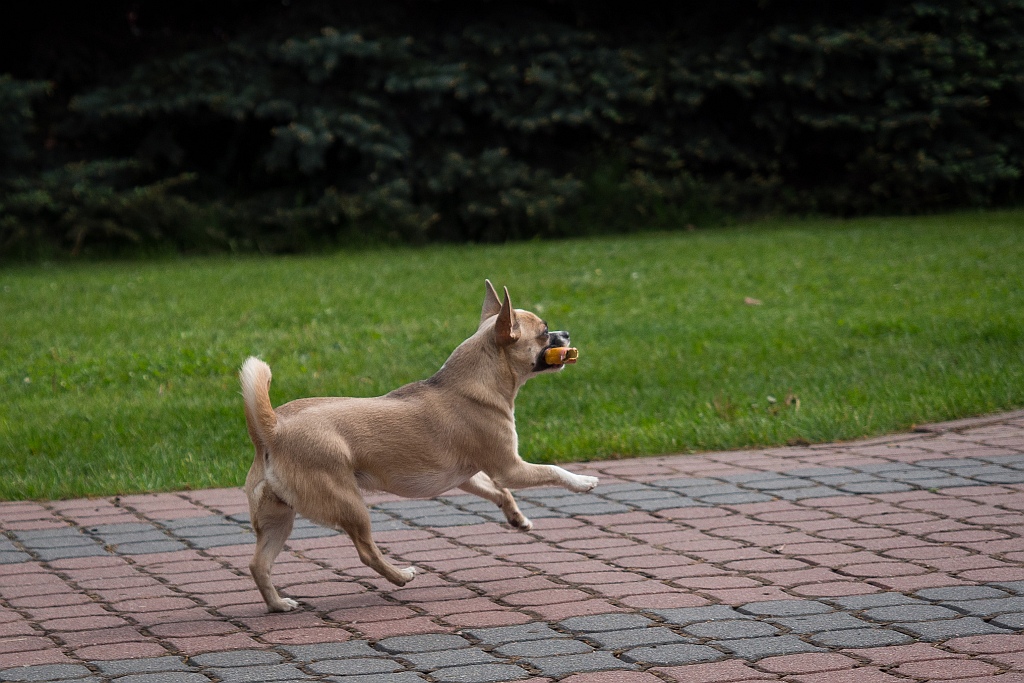 Nazwa:  P5175895.jpg
Wyświetleń: 90
Rozmiar:  330,6 KB