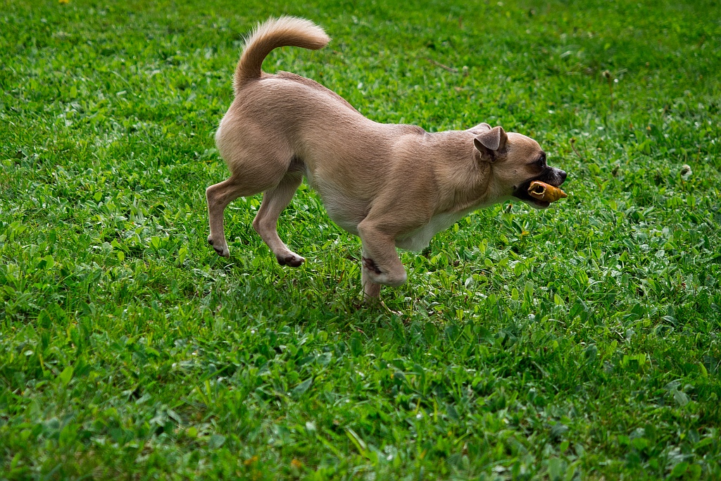 Nazwa:  P5175898.jpg
Wyświetleń: 89
Rozmiar:  540,1 KB