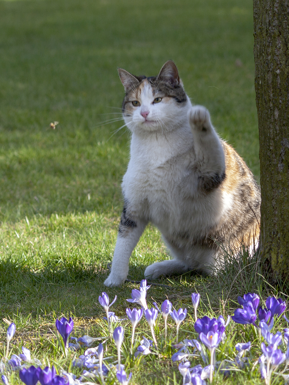 Kliknij obrazek, aby uzyskać większą wersję

Nazwa:	p1420334.jpg
Wyświetleń:	192
Rozmiar:	843,7 KB
ID:	170192