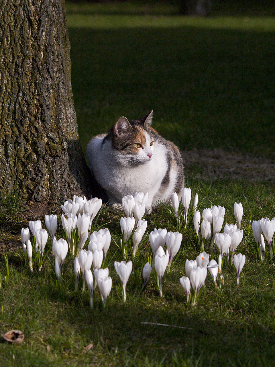 Kliknij obrazek, aby uzyskać większą wersję

Nazwa:	p1420350.jpg
Wyświetleń:	165
Rozmiar:	1.014,4 KB
ID:	170193