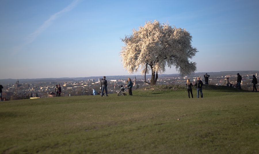 Kliknij obrazek, aby uzyskać większą wersję

Nazwa:	Iwidok.png
Wyświetleń:	112
Rozmiar:	647,0 KB
ID:	170432