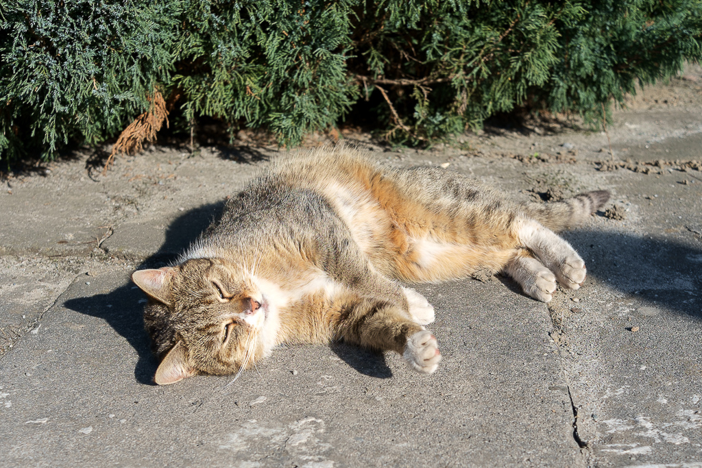 Kliknij obrazek, aby uzyskać większą wersję

Nazwa:	PBA12569_web.JPG
Wyświetleń:	176
Rozmiar:	642,5 KB
ID:	170464