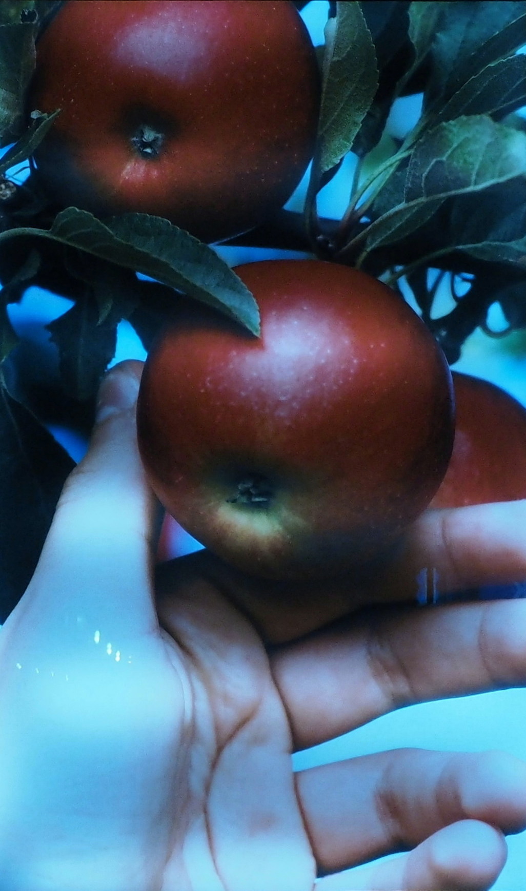 Kliknij obrazek, aby uzyskać większą wersję

Nazwa:	Spacerkiem po mieĹcie...ECB.jpg
Wyświetleń:	223
Rozmiar:	307,2 KB
ID:	170493