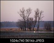 Kliknij obrazek, aby uzyskać większą wersję

Nazwa:	_4031185k.jpg
Wyświetleń:	82
Rozmiar:	560,6 KB
ID:	170543
