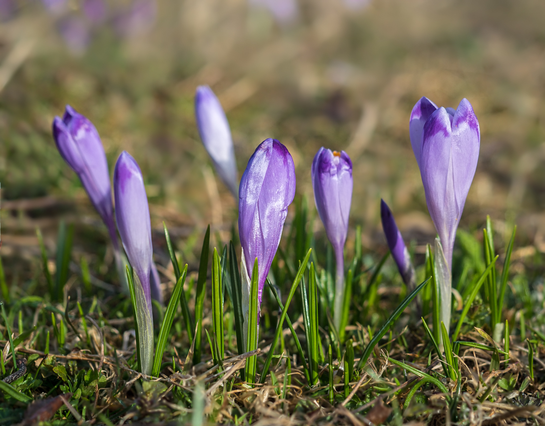 Kliknij obrazek, aby uzyskać większą wersję

Nazwa:	Str2Olek-2.JPG
Wyświetleń:	298
Rozmiar:	608,8 KB
ID:	170729