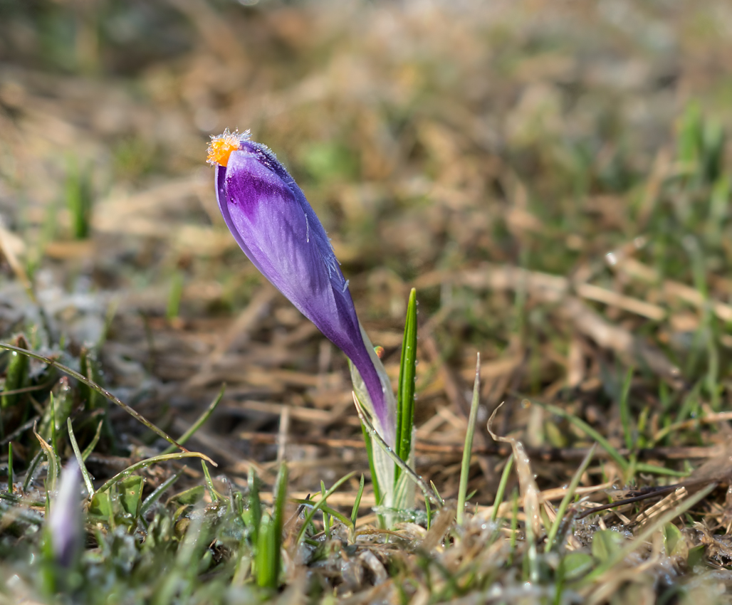 Kliknij obrazek, aby uzyskać większą wersję

Nazwa:	Str2Olek-5.JPG
Wyświetleń:	321
Rozmiar:	496,0 KB
ID:	170732